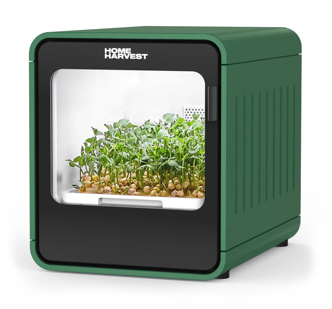 Home Harvest unit growing microgreens