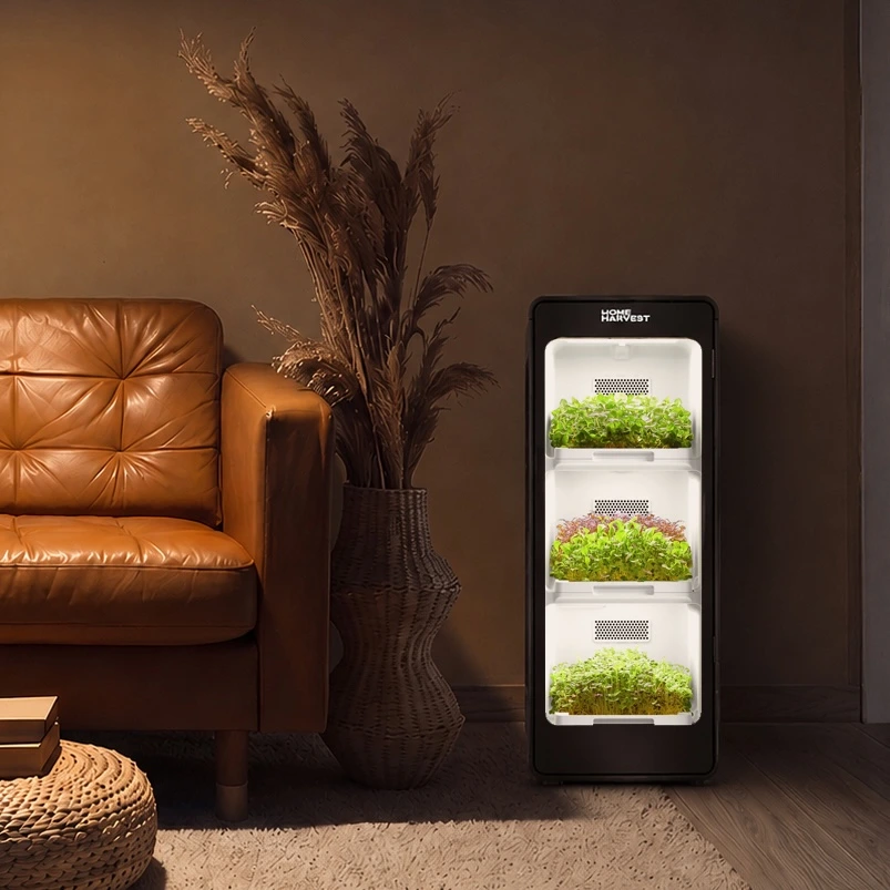 Home Harvest in a living room